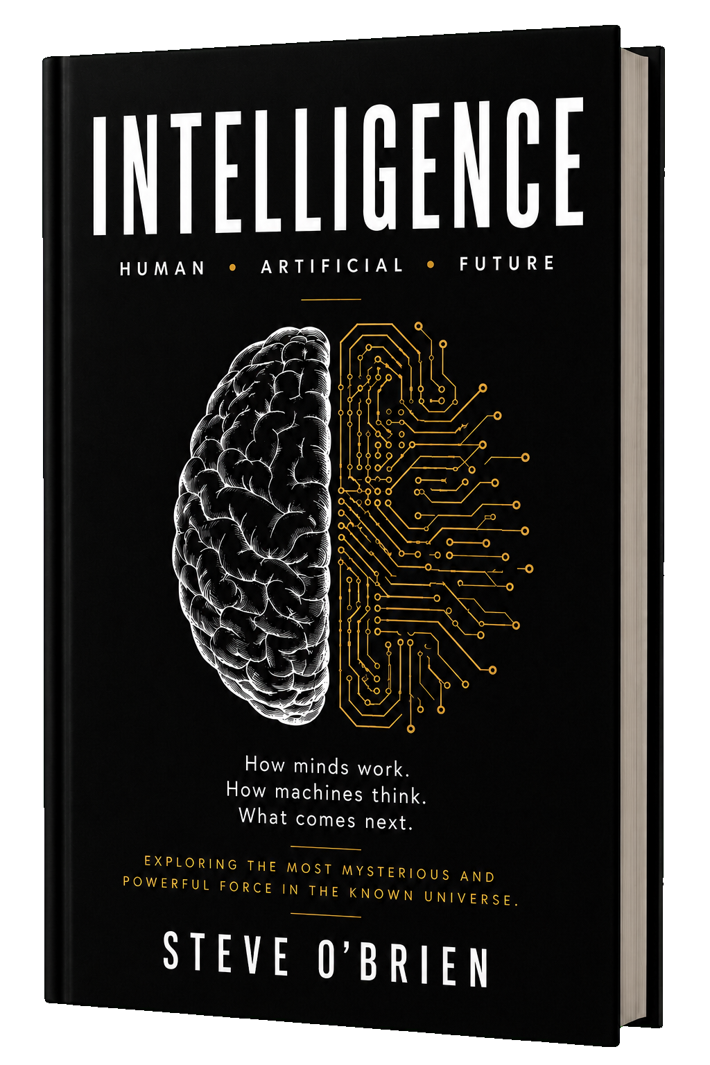 Intelligence: Human, Artificial, Future by Steve O’Brien