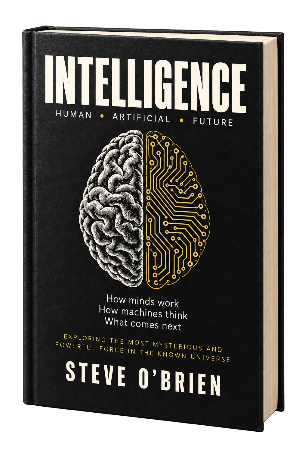 Intelligence: Human, Artificial, Future by Steve O’Brien